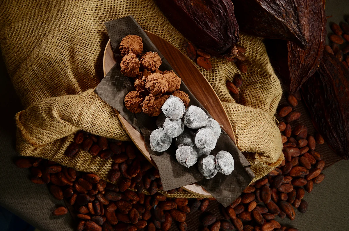 Cocoa-dusted chocolate truffles arranged on a wooden tray among cocoa beans